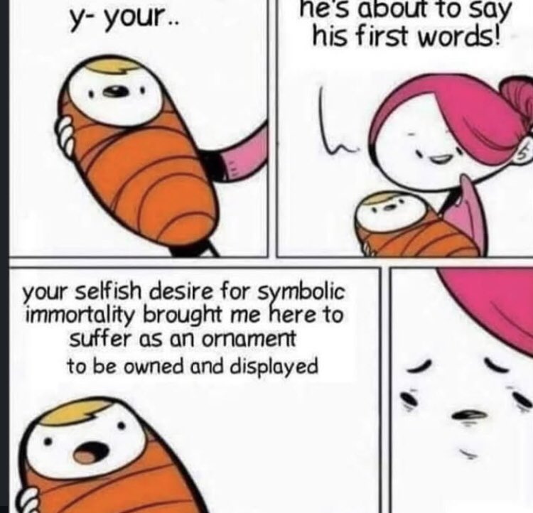 philosophy memes 🔗 tweet media