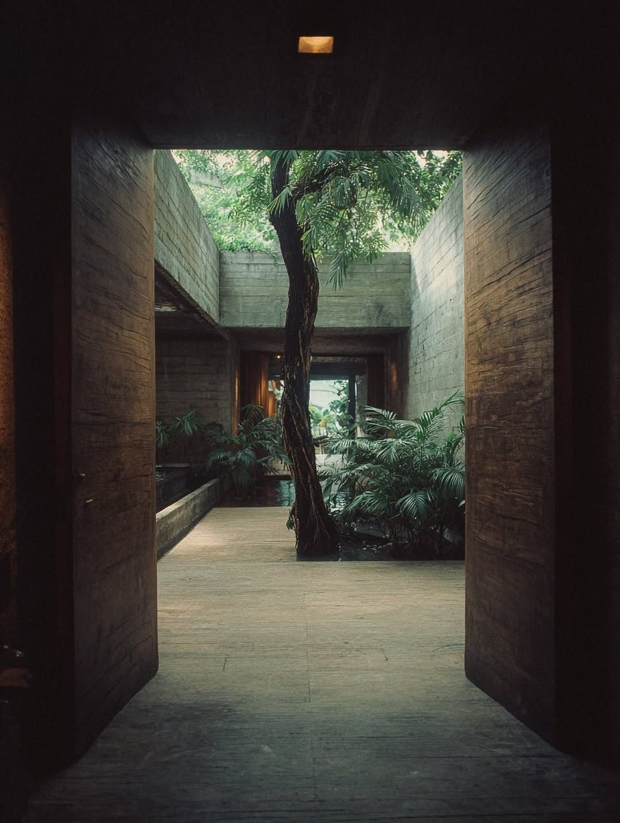 hutdesigns's tweet photo. A house concept by Juan Carlos Beltrán hidden in endless green 🌿 https://t.co/37WlDqvqGi