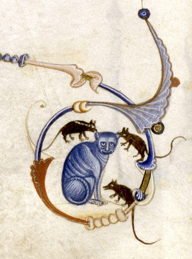 weird medieval guys tweet media