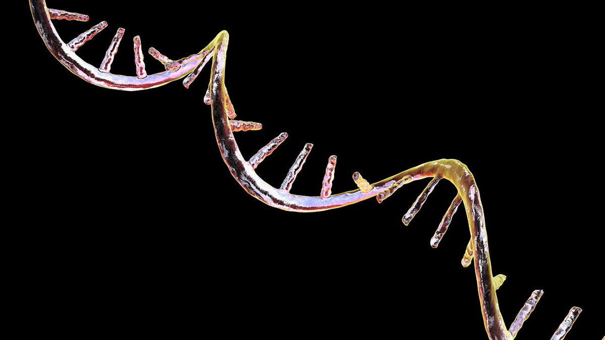 BioPharm Intl tweet media