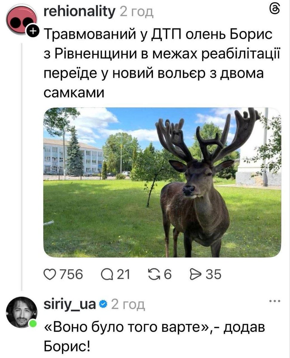 Баба і кіт (@babaikit) on Twitter photo 