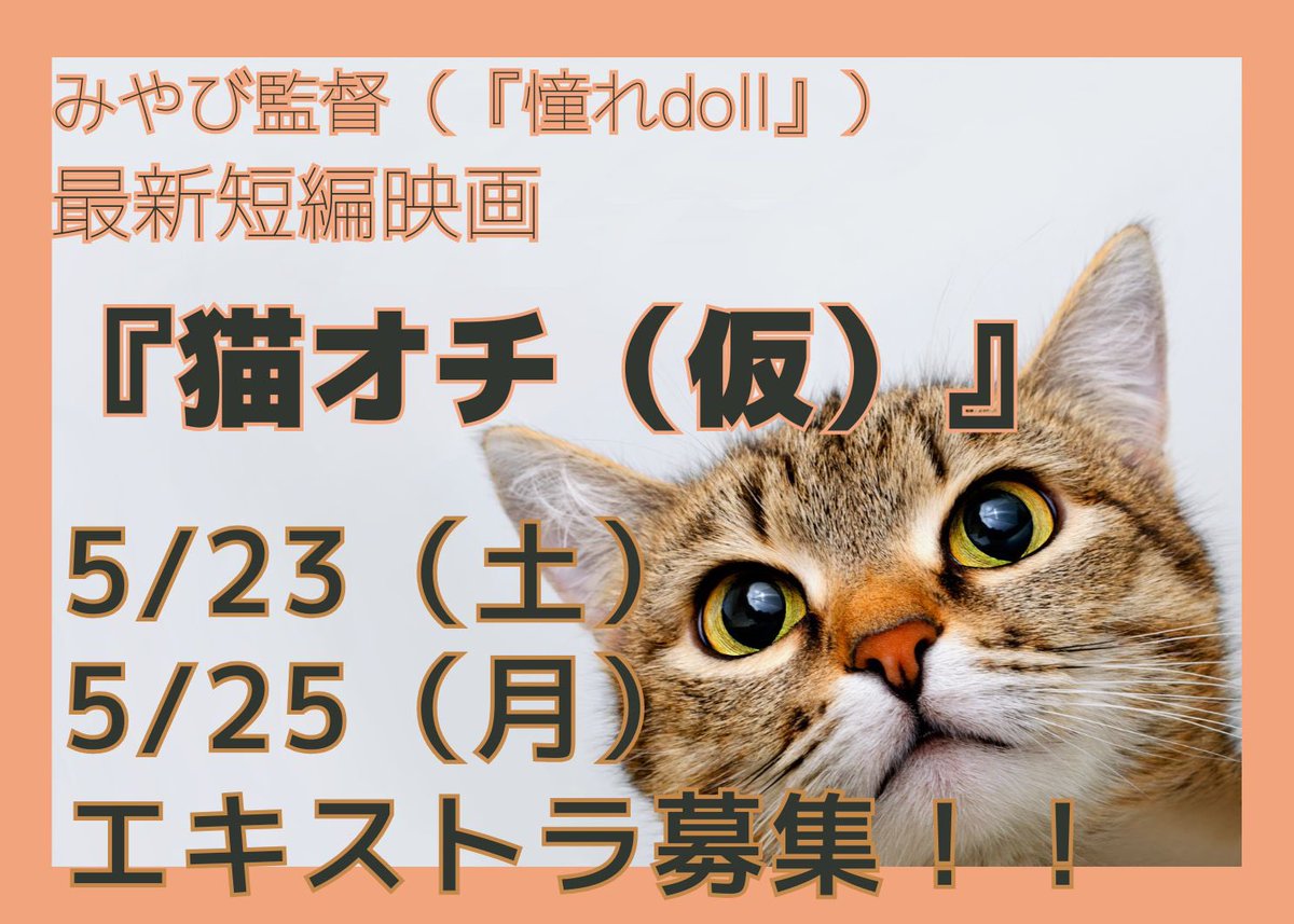 監督します最新作『猫オチ（仮）』
シネマプランナーズよりエキストラ募集開始いたしました！5/23.25の募集になります！
ご都合合う方、ぜひ🙏
私たちと一緒に作品を作っていただけると嬉しいです✨
たくさんのご応募お待ちしております！
　
cinepu.com/cast/SVw8mJgKl…

#エキストラ募集
#猫オチ