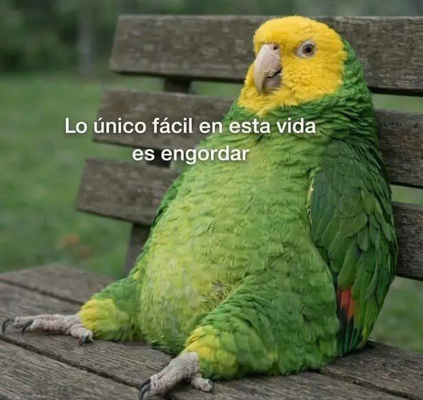 Chester®™ tweet media