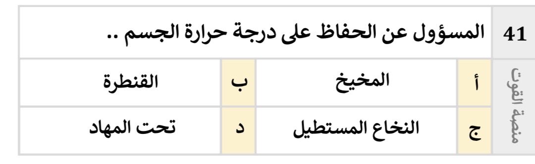 Ali S tweet media