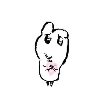 쫑 tweet media