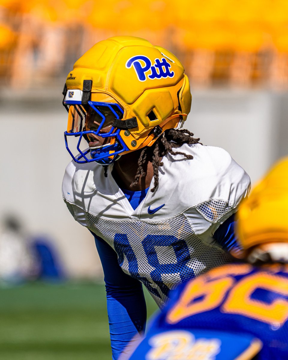 Pat Narduzzi tweet media