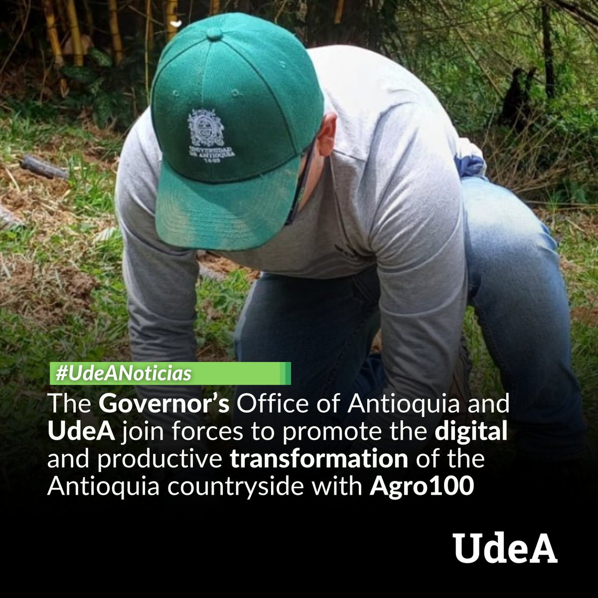 Universidad de Antioquia tweet media
