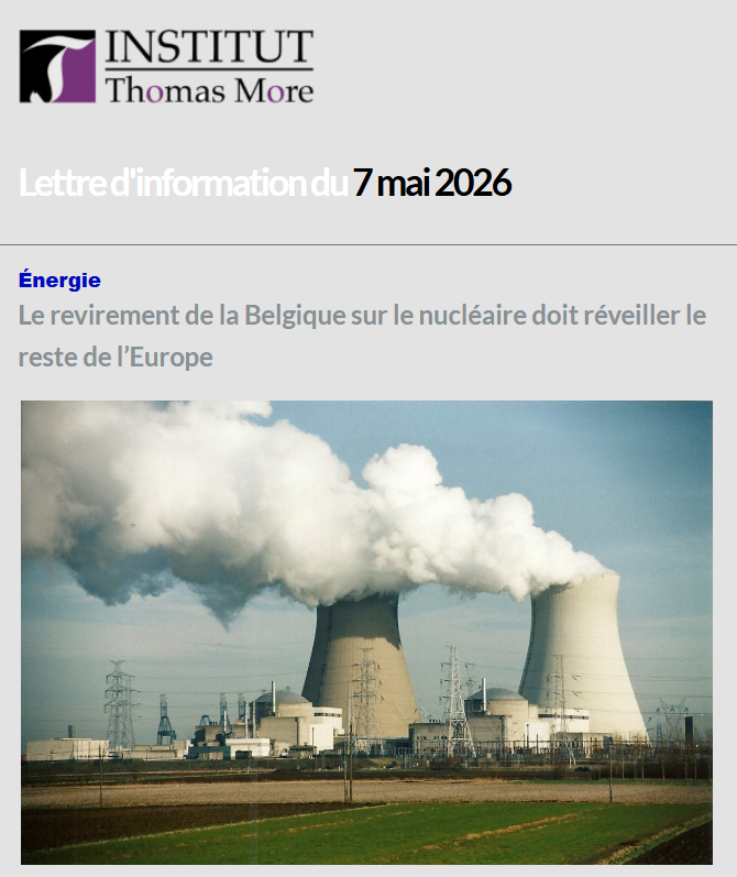 Institut Thomas More tweet media