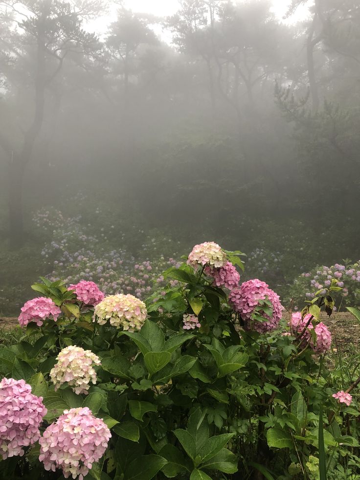 Although_Heaven's tweet photo. https://t.co/LfPO2n1m8S