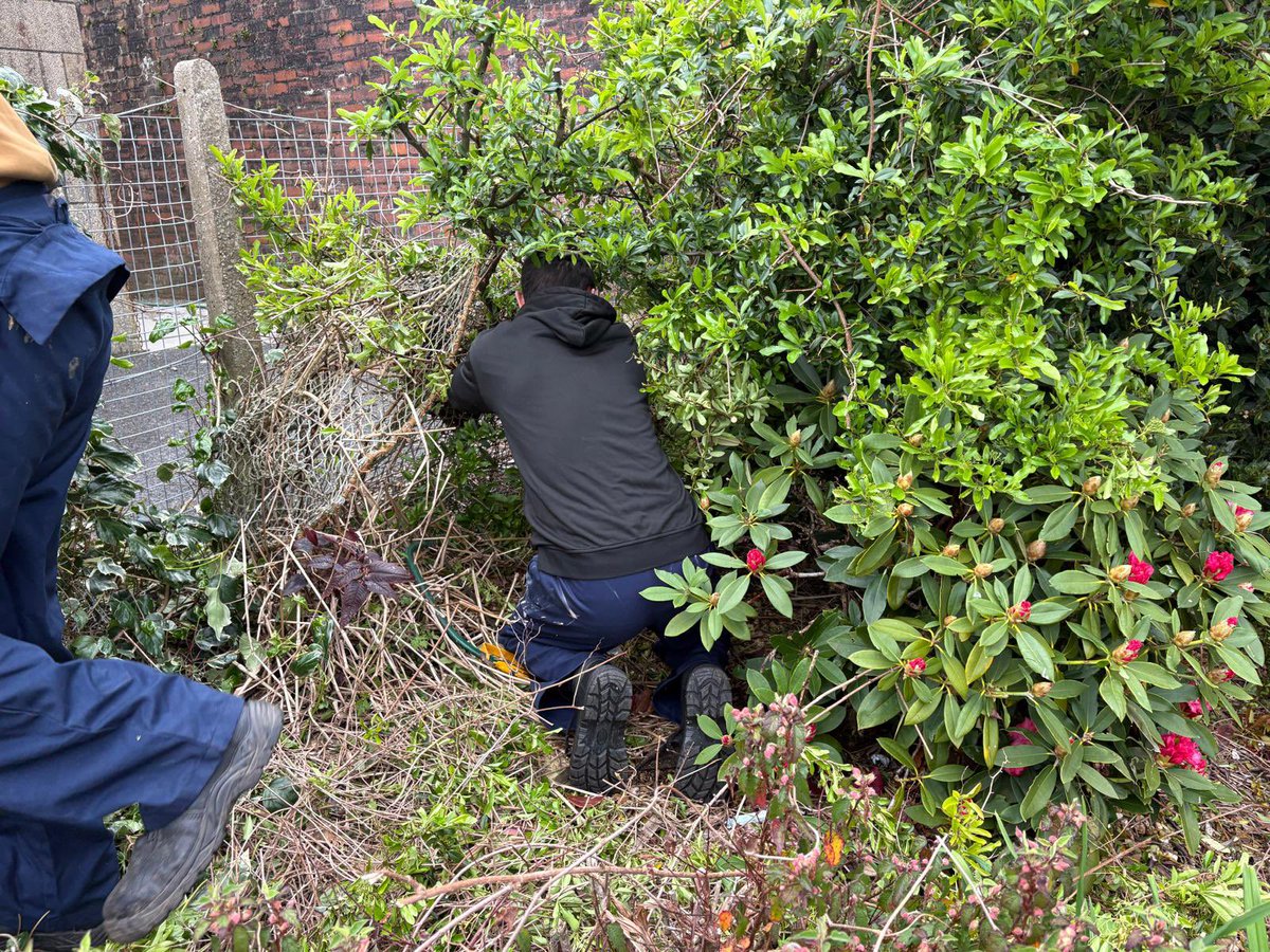 NACJustice's tweet photo. A recent garden tidy at Largs Railway Station was completed. Thanks to our Supervisor and his team. 👏🏻👏🏻 https://t.co/EAUSNpEtXb