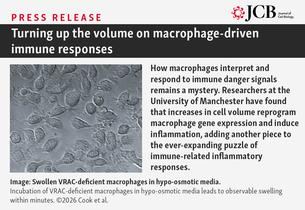 Journal of Cell Biology tweet media