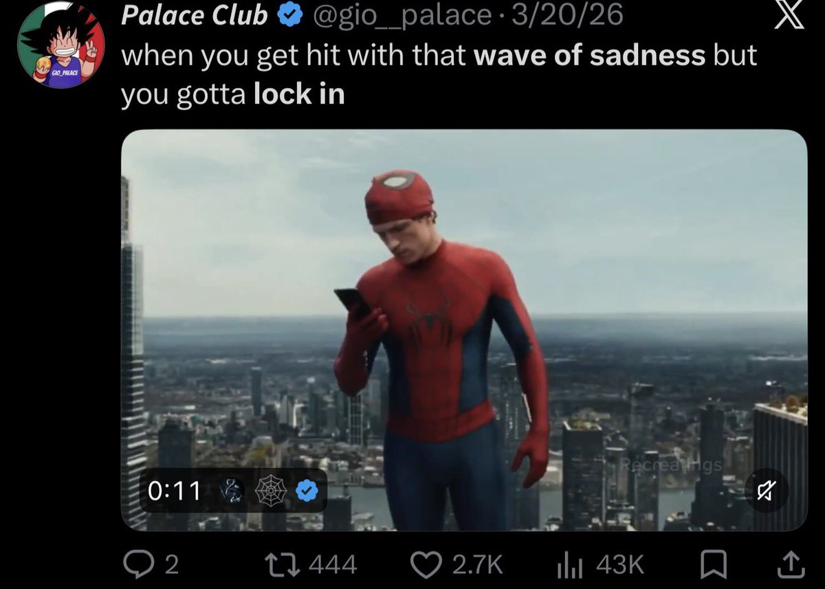🕸️ tweet media