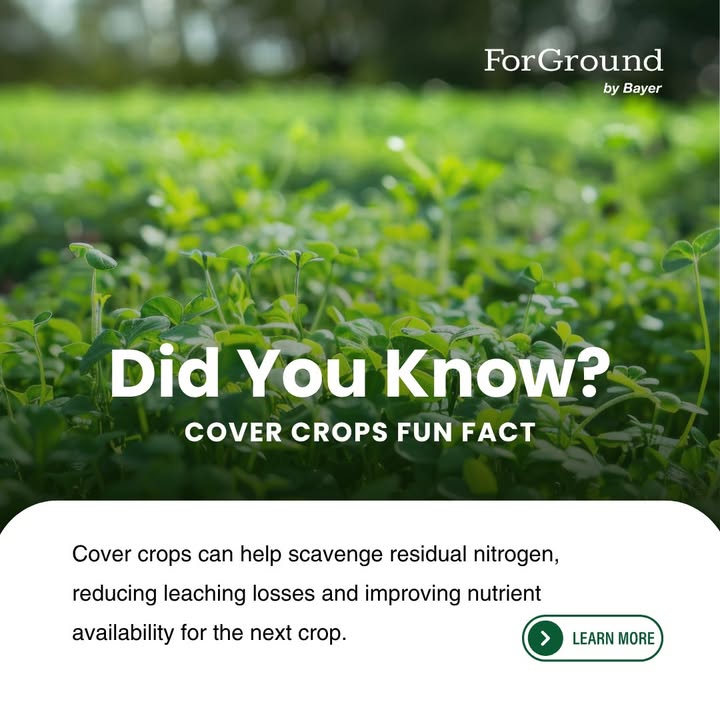 ForGround by Bayer tweet media
