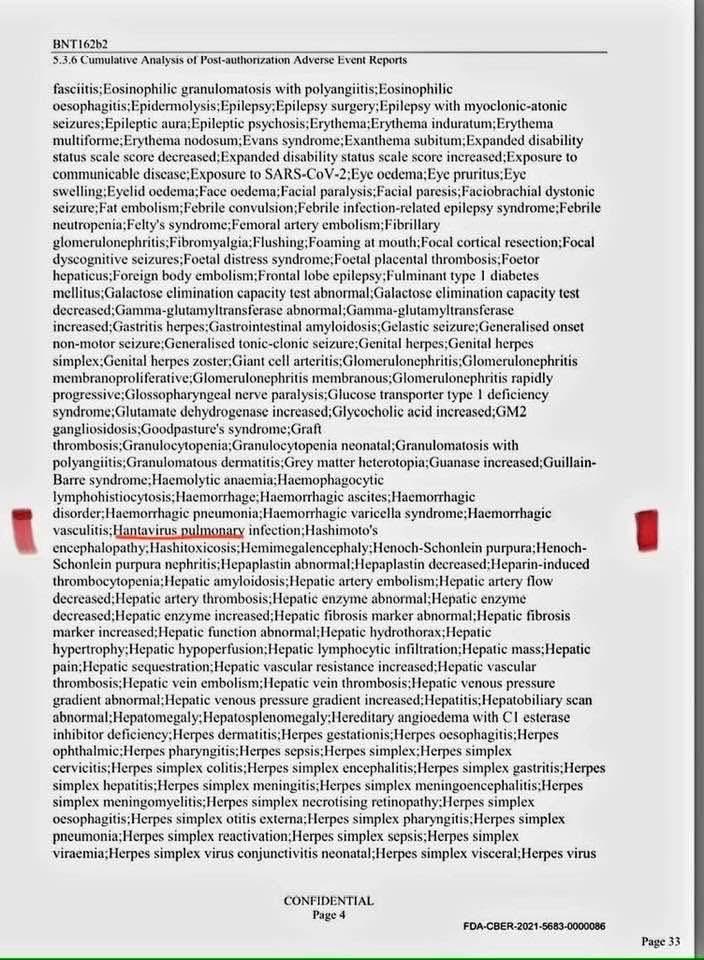 Adriano Valente tweet media