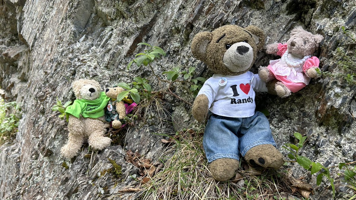 Ted Bearemy, Major #BUMS0526 tweet media