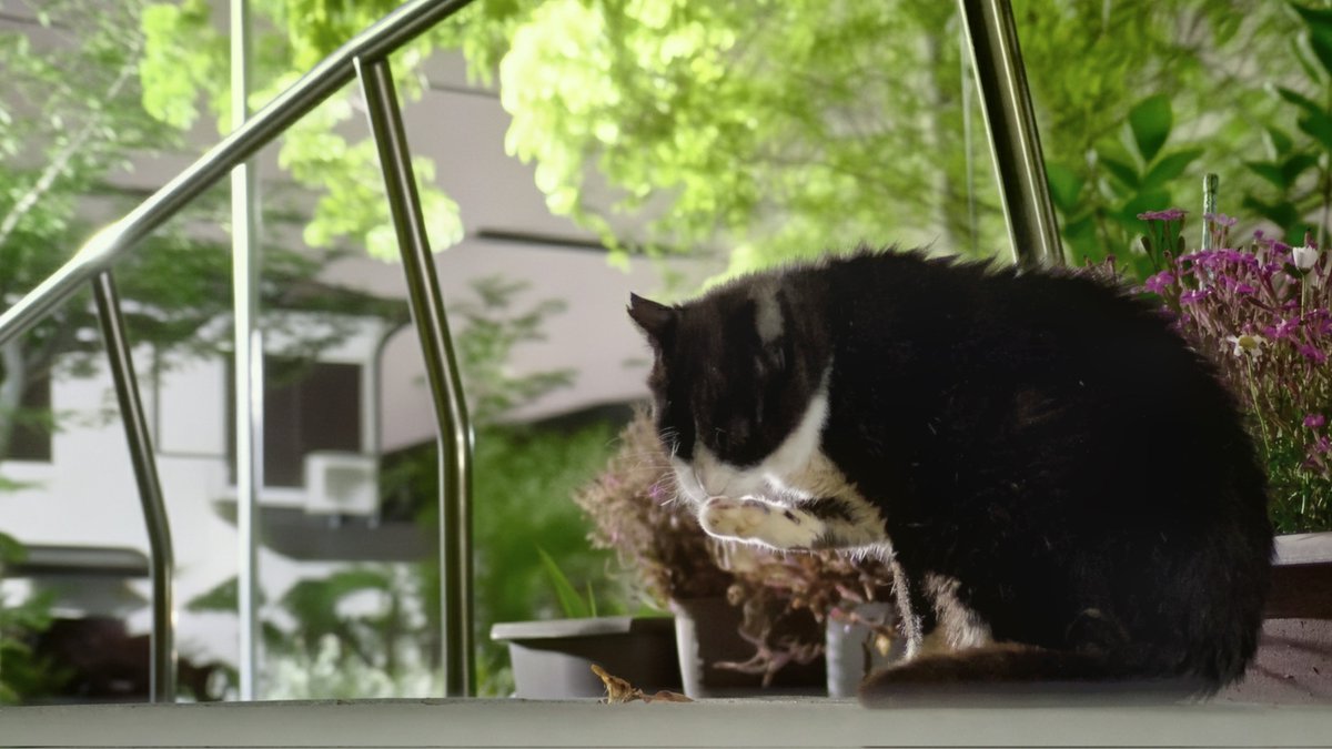 rynx04's tweet photo. APS-Cでマニュアルフォーカスの50mm
夜の動物はつらたん https://t.co/t9mEhp45El