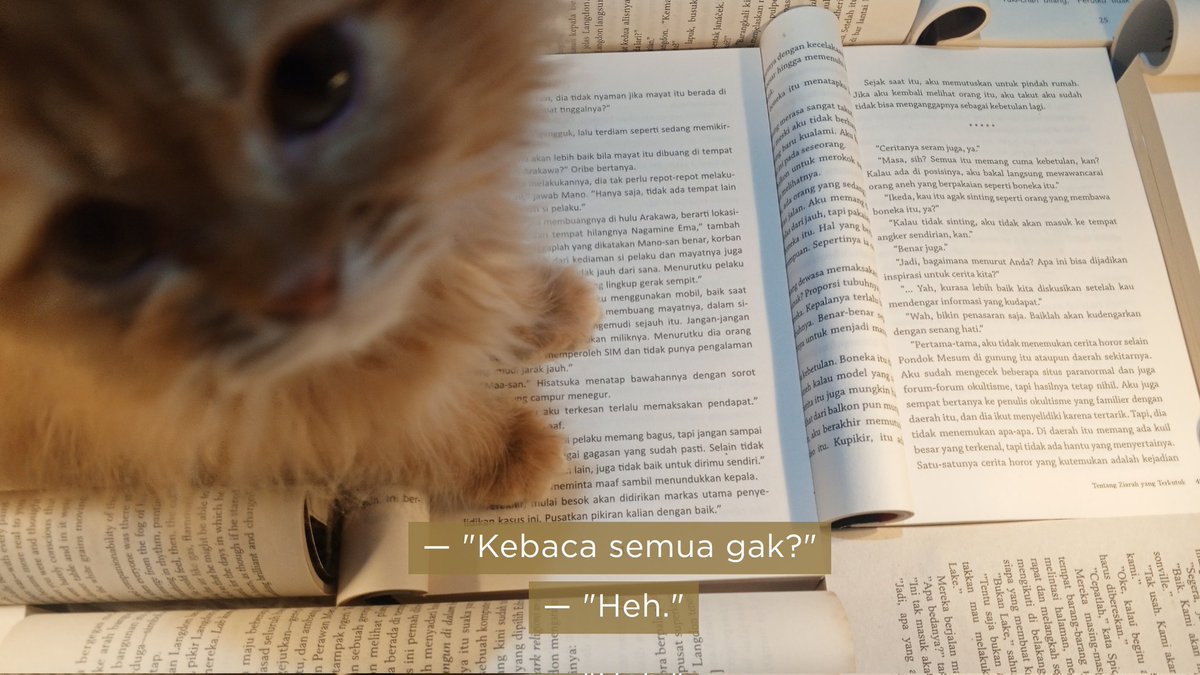 Eliot, tweet media