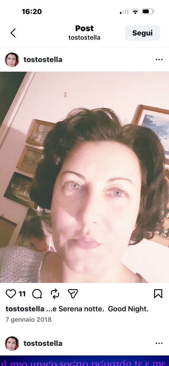 STELLA TOSTO tweet media