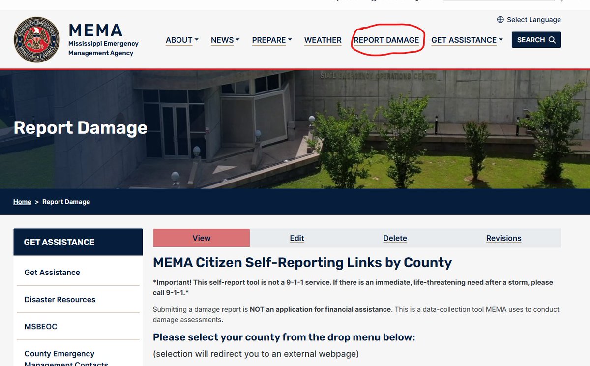 msema tweet media