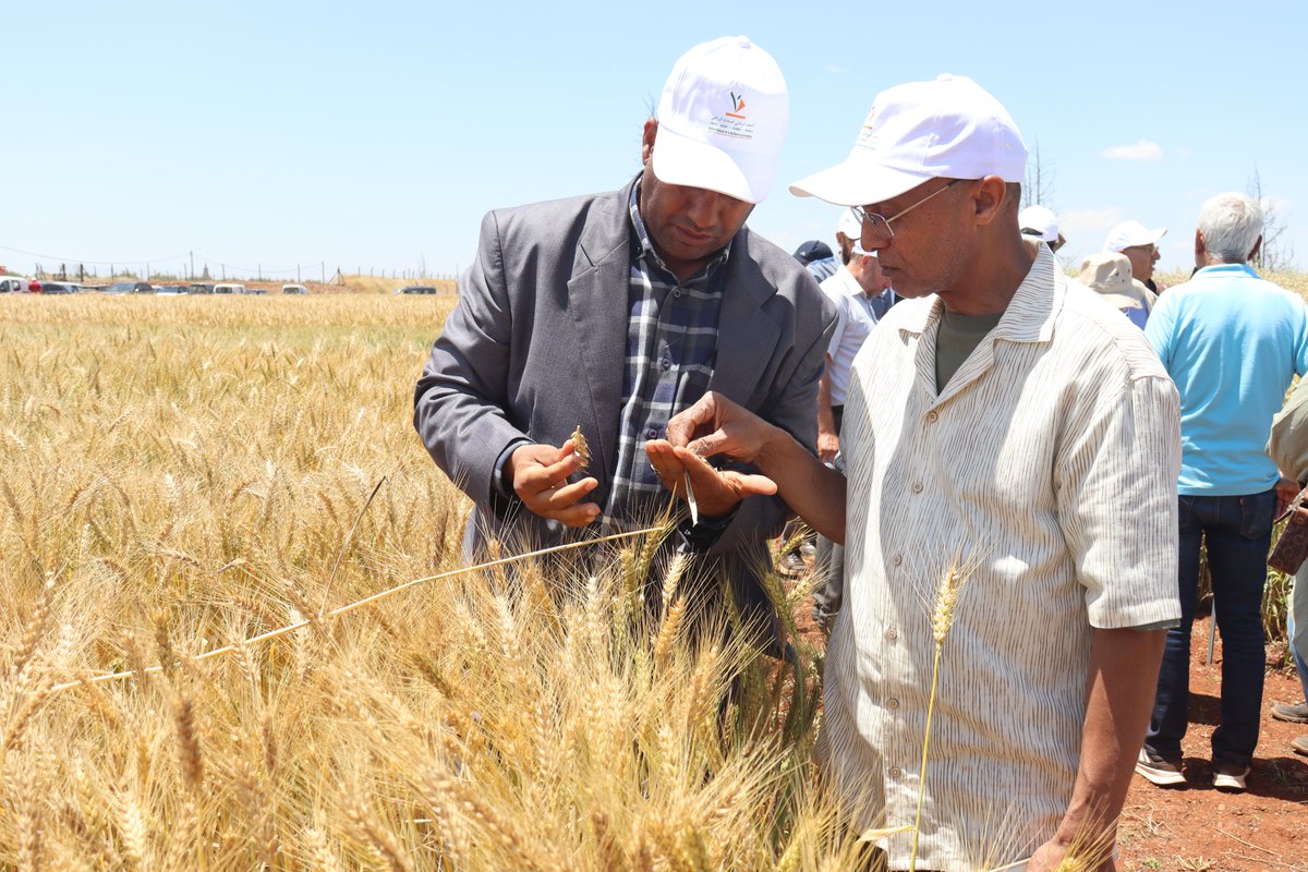 INRA Maroc tweet media