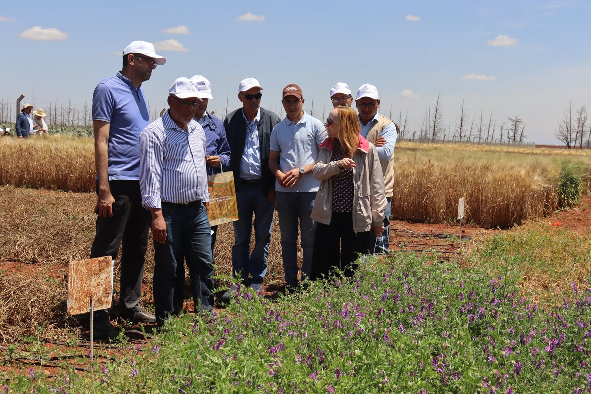 INRA Maroc tweet media