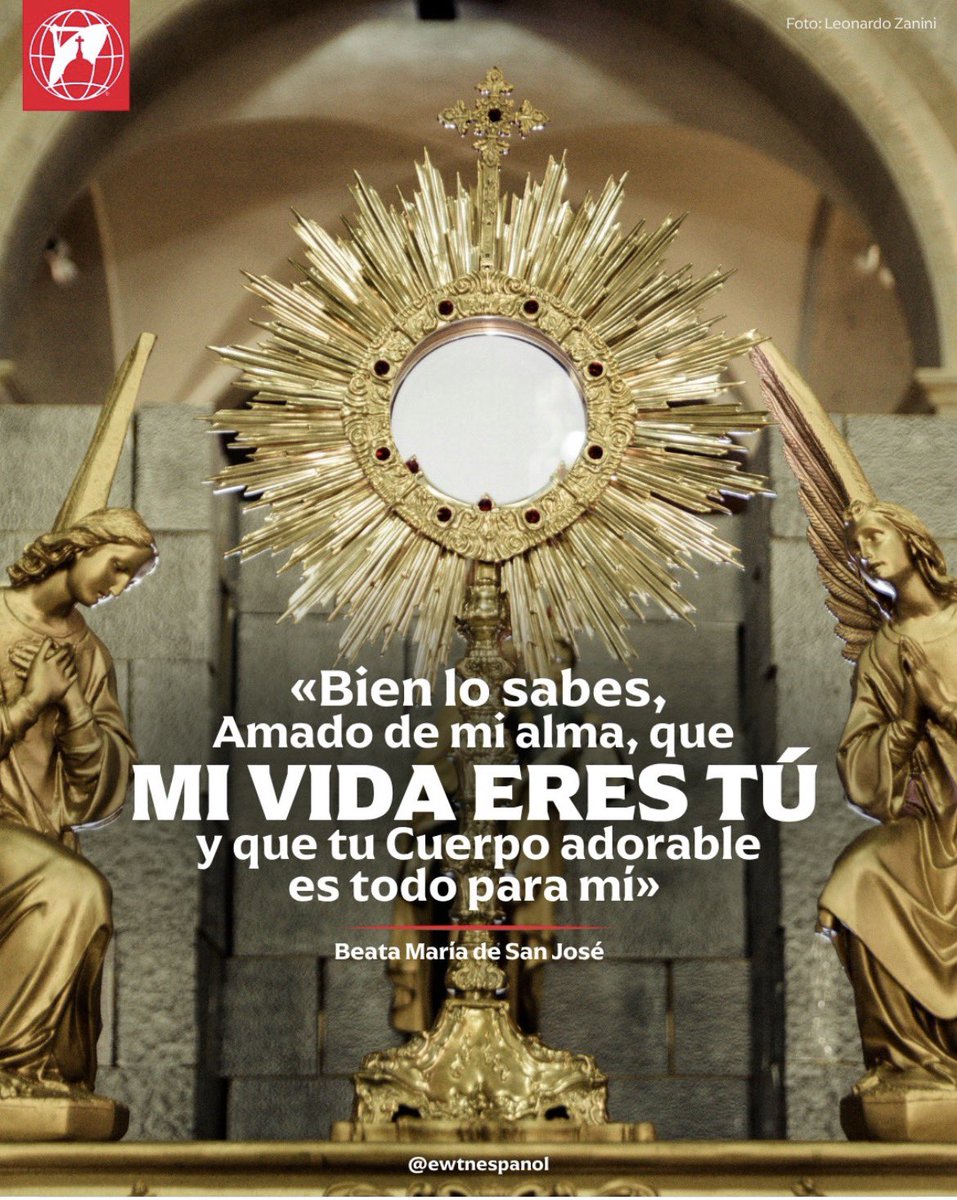 EWTN ESPAÑOL tweet media