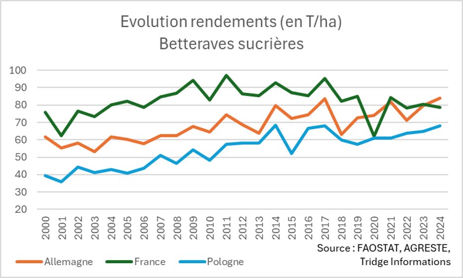 Quentin Mathieu tweet media