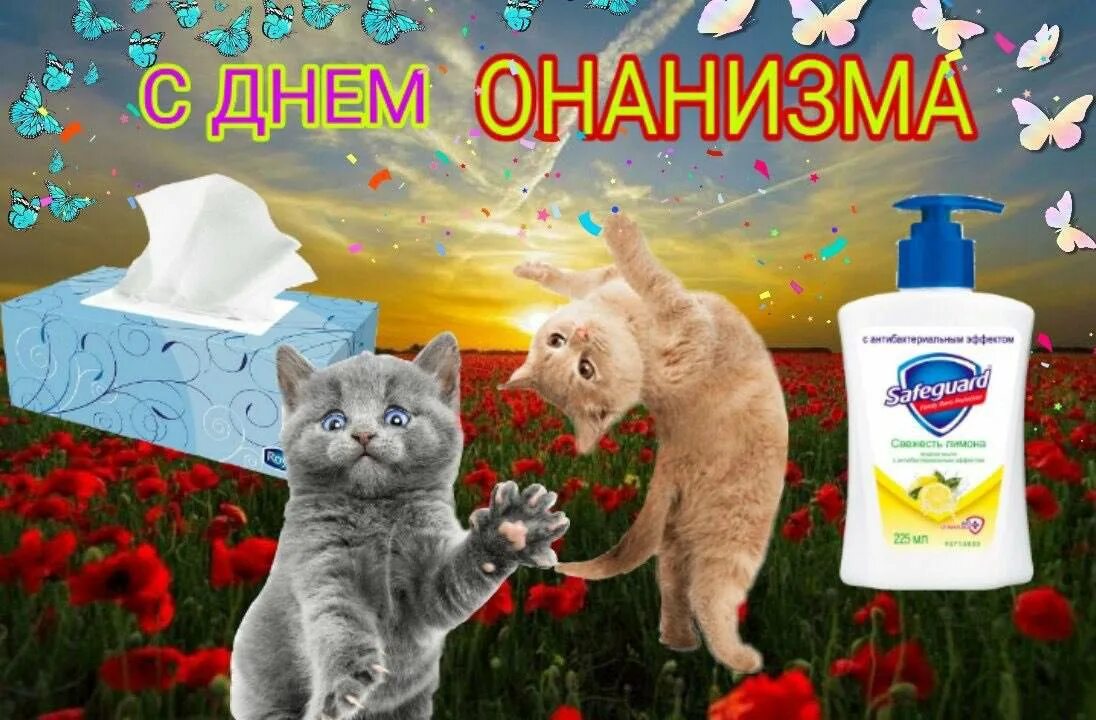 (иʞинɐdɓ)vɐʞʚıqq (@amoguskilerque) on Twitter photo 
