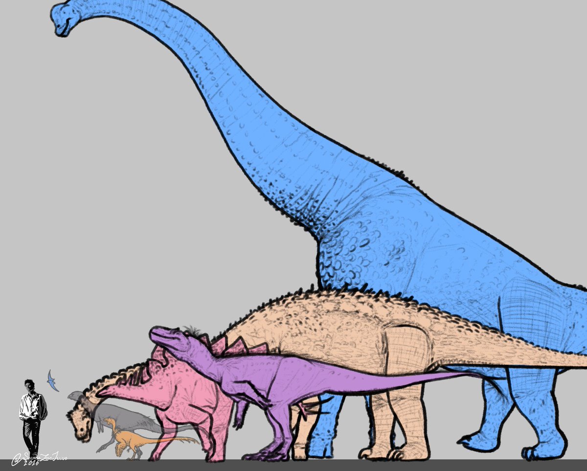 Petite Paleoartist | Sauriazoicillus 🍥 tweet media