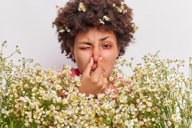 CANPharmacyKing's tweet photo. Allergy season’s longer than ever—discover new treatments from antihistamines to biologics for lasting relief.

Read our latest #KingsBlog ⬇️⬇️⬇️

https://t.co/nm3JSa03TV

#CanadianPharmacy https://t.co/dqMaTfpspe