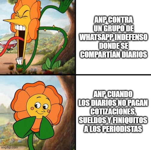 CheloSuarez tweet media