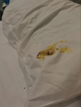 这些前台来检查 不知道该怎么解释了 但是真的好爽 https://t.co/yxpbA01kay
