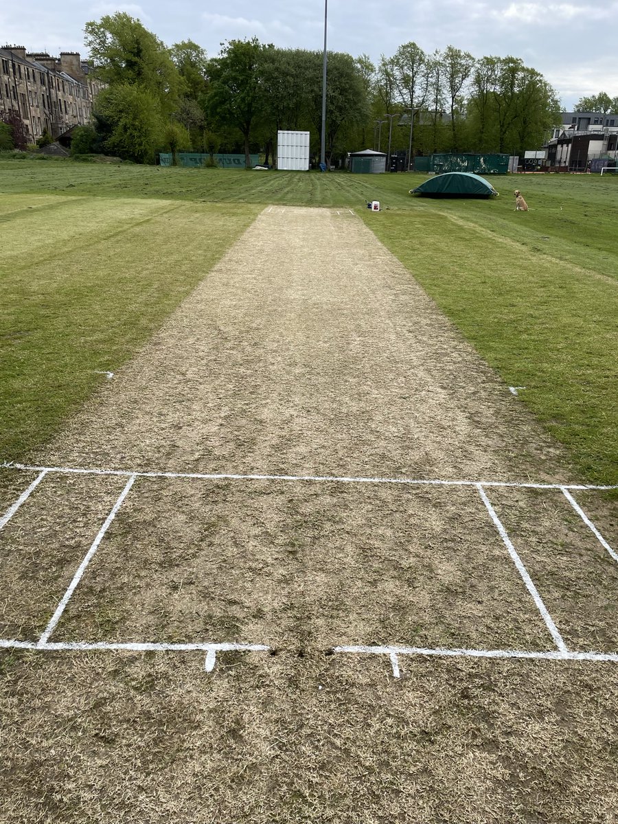 AGroundswork's tweet photo. A day spent @hillheadcc today, a bit of work still to be done ahead of the weekend’s games. The working dog Bella was in attendance today too. Watching over proceedings. 🏴󠁧󠁢󠁳󠁣󠁴󠁿🏏 https://t.co/OBqV2tdt6c