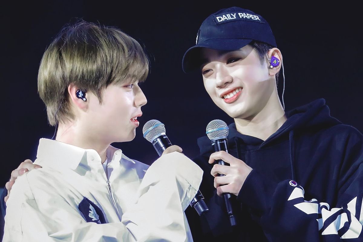 판윙 아카이브 tweet media