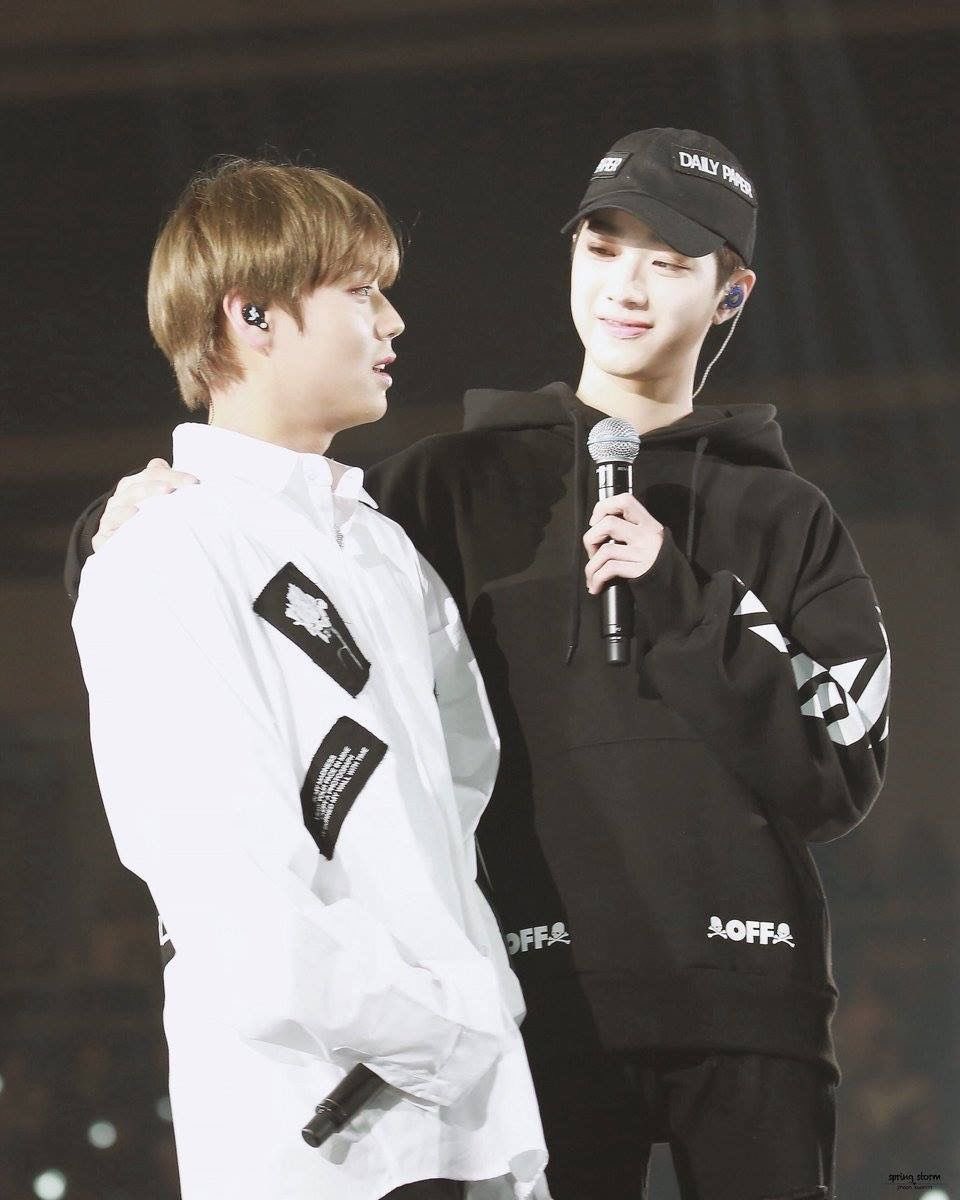 판윙 아카이브 tweet media