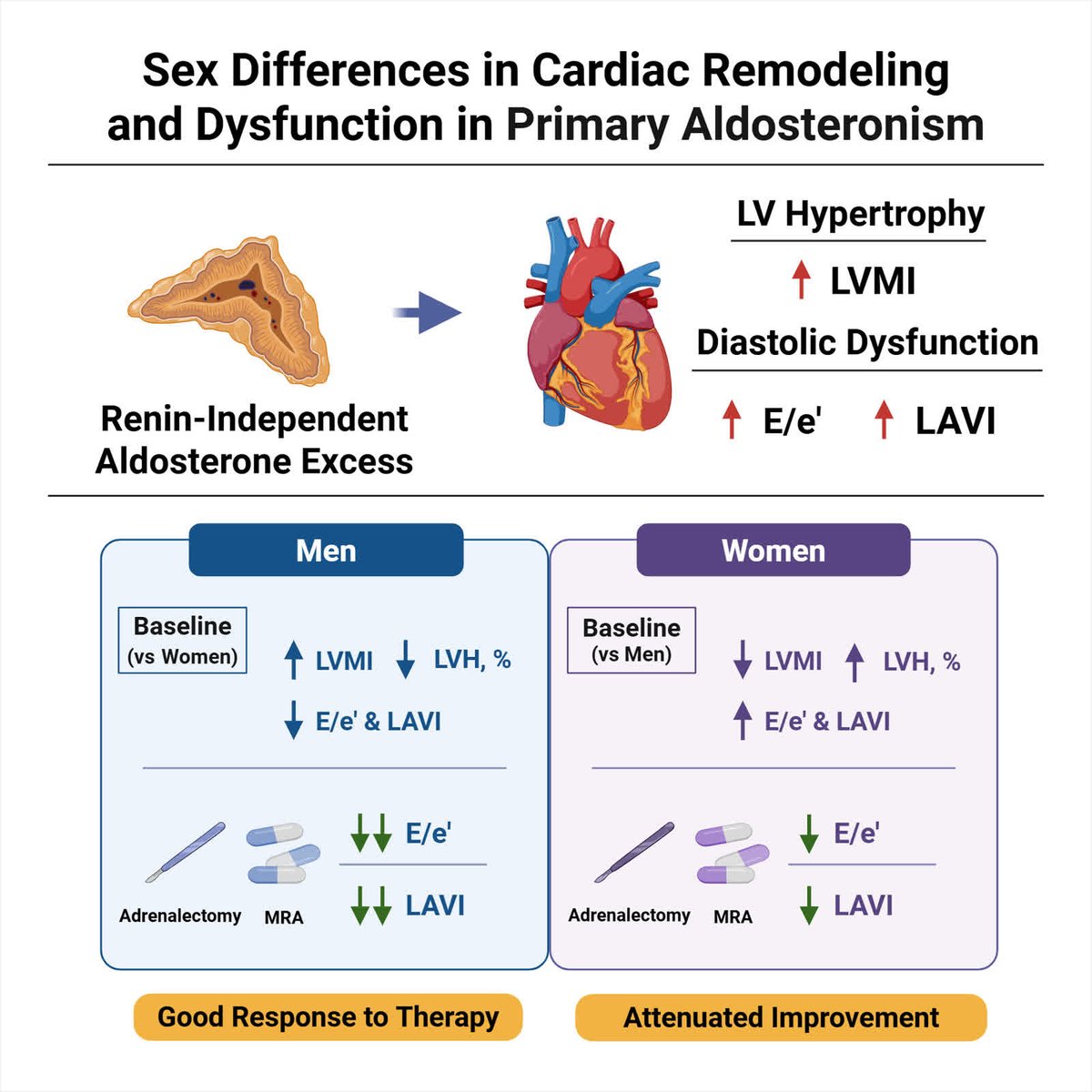 Hypertension tweet media
