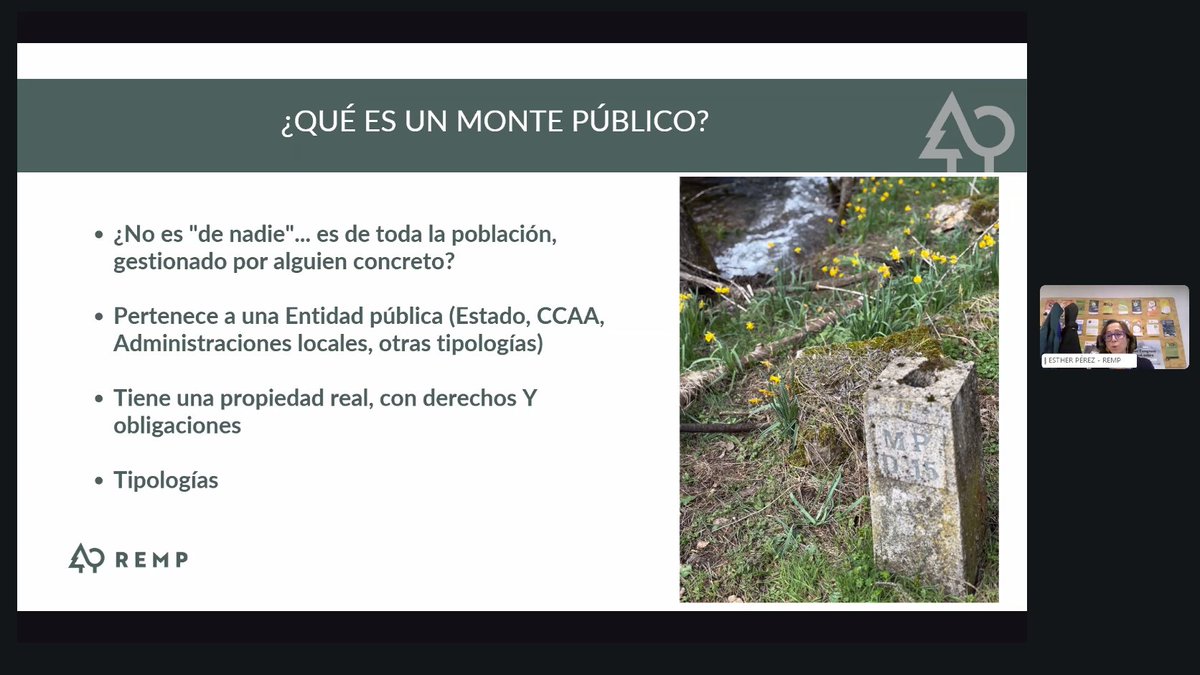 Ingeniería Forestal tweet media