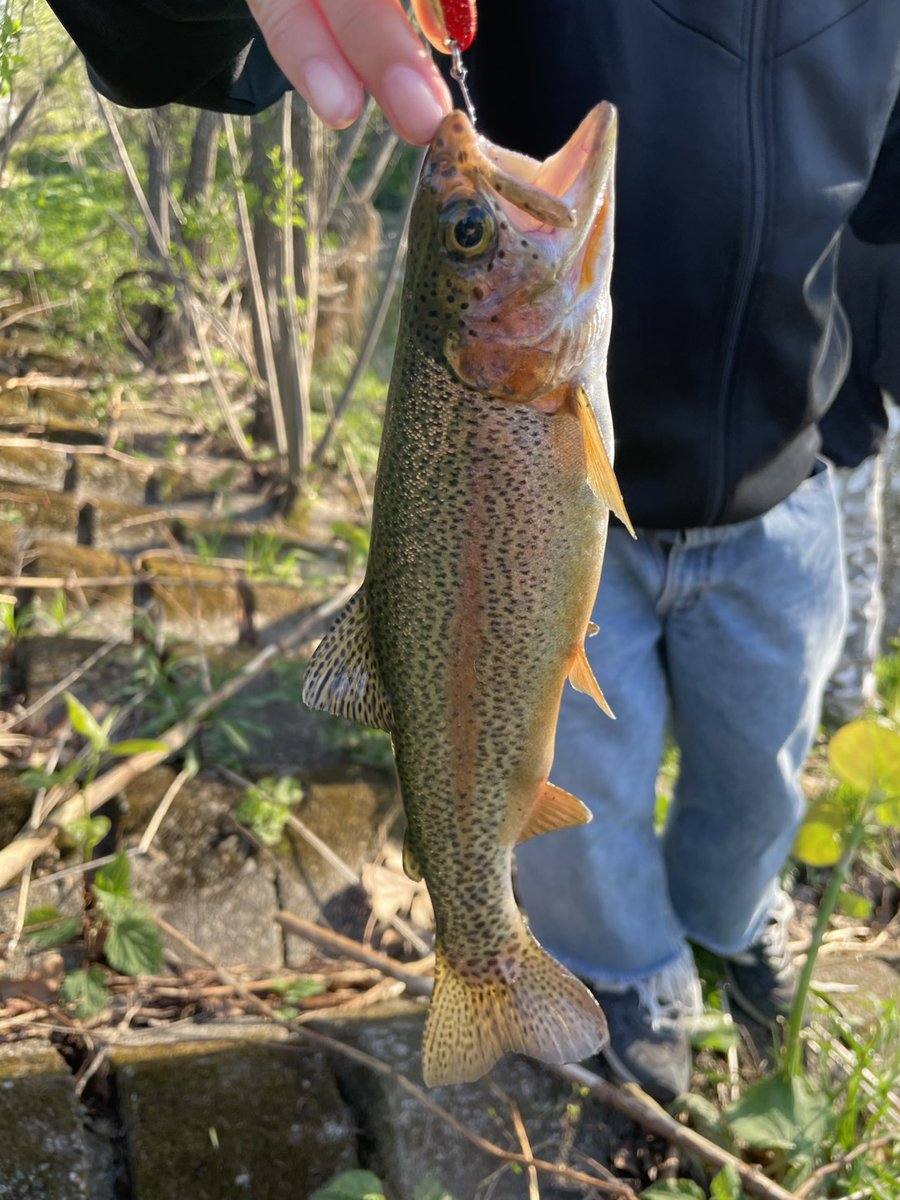 がぶがぶ tweet media