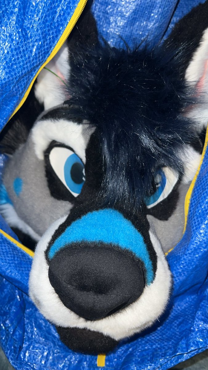 iado's tweet photo. find me at fwa 🥺💙 https://t.co/EwrGfPXLhy