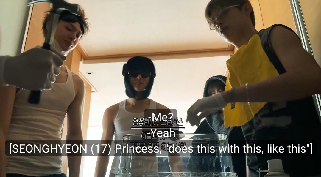 other members having roles like "fire guy" "manager" 😭

meanwhile: 
eom seonghyeon (17), princess