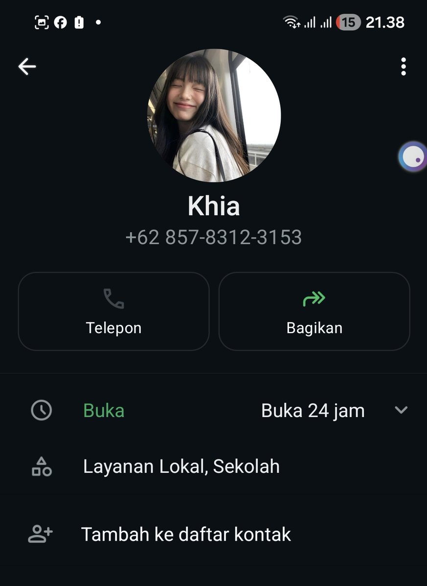 dina tweet media
