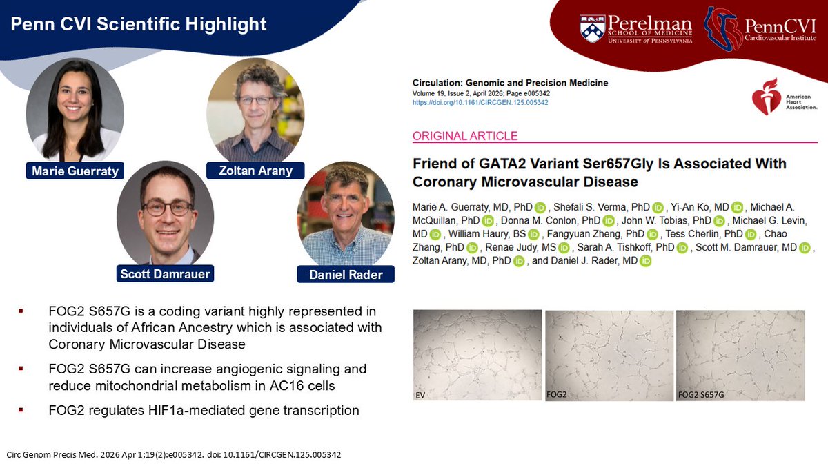PennCVI's tweet photo. CVI's Highlighted #PapersoftheWeek!
https://t.co/mG8wa6vMw1 https://t.co/5CR952teY2