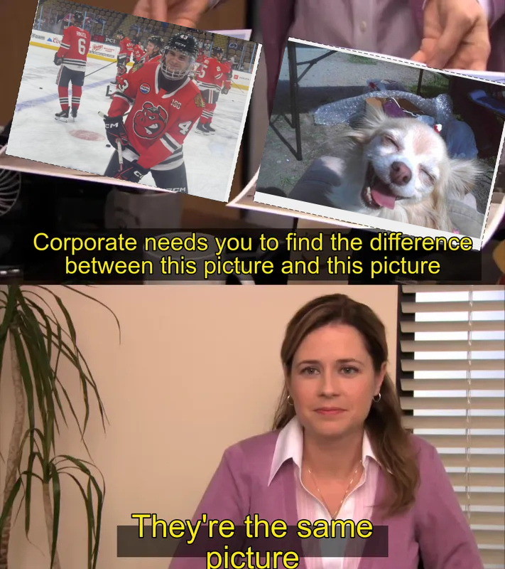 Indy Fuel tweet media