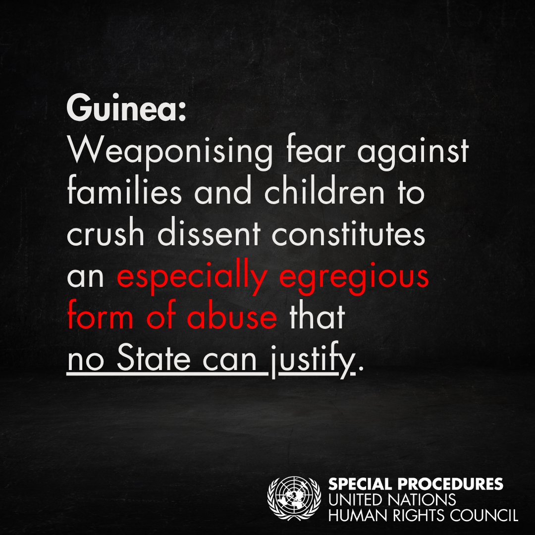 UN Special Procedures tweet media