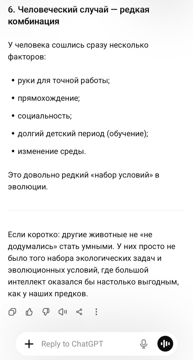 Иван Сорокин tweet media