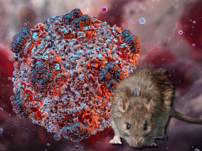 A partir de la otra semana está cuenta cambiara de nombre a HantaVirus.

Y la historia de la humanidad también....