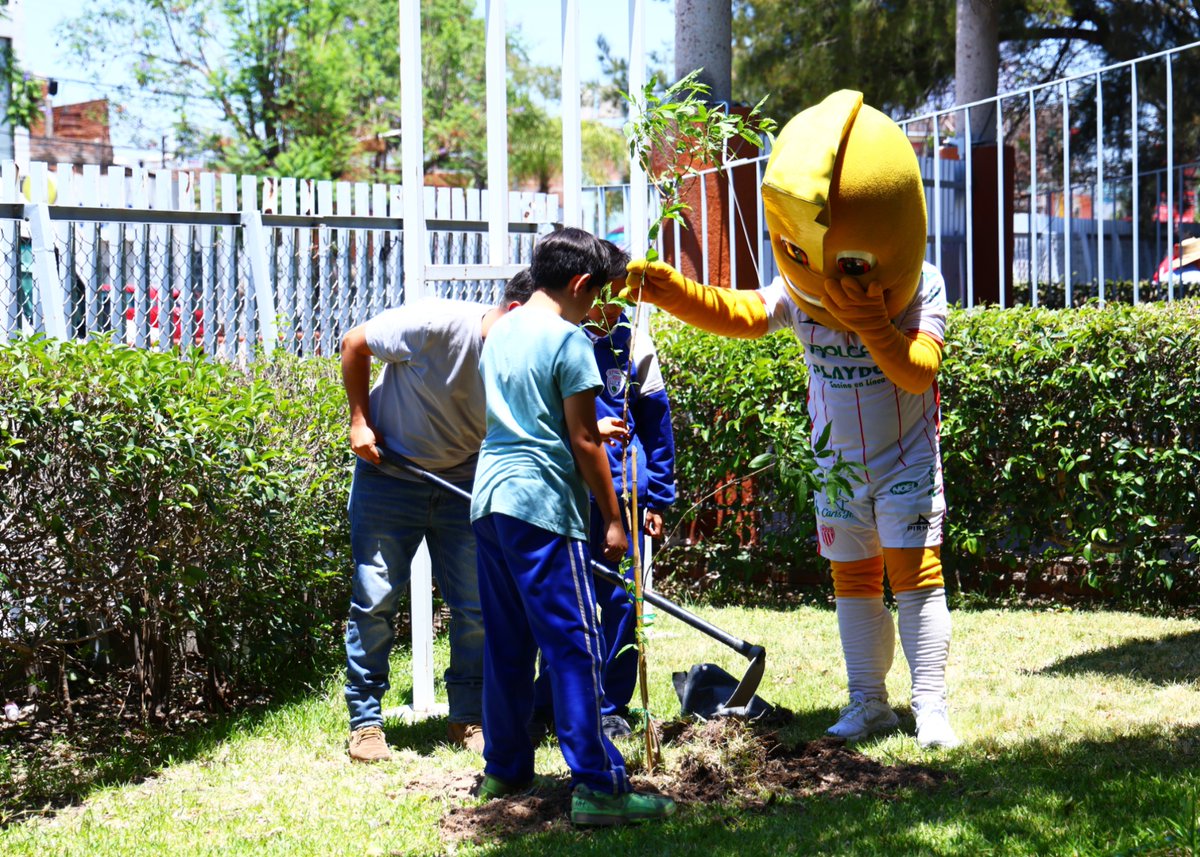 ClubNecaxa's tweet photo. 🌱 Una mañana distinta dentro y fuera del aula.

Jugadores de Fuerzas Básicas de Club Necaxa participaron junto a estudiantes de la Primaria Ignacio Ramírez en una jornada enfocada en el cuidado del medio ambiente y el uso responsable de los recursos naturales. 

La actividad incluyó talleres, dinámicas recreativas y una plantación de árboles dentro del plantel educativo. 👊 

Lee la nota completa 👇 
https://t.co/ucdCoWj6Rh 

#RayosDeLuz ⚡