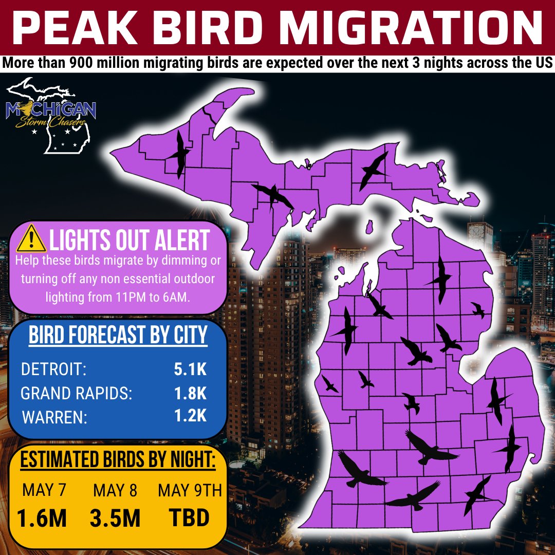 Michigan Storm Chasers tweet media