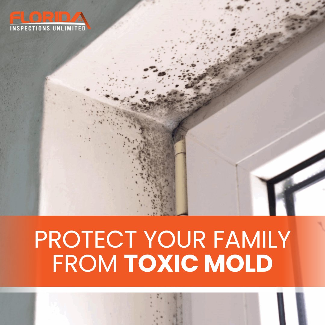 inspectionfl's tweet photo. Protecting your family starts with understanding what is behind your walls. Mold can often go unnoticed until it becomes a health risk, but our specialized testing equipment identifies problems at the source.

📞 Call 305.910.1171 for a FREE estimate!

#MiamiHomeInspections https://t.co/Pz5mT0u94U
