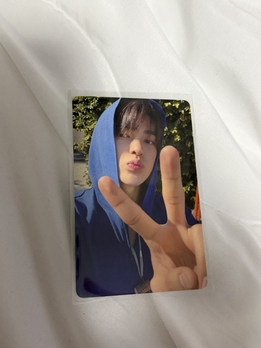 코르짱 tweet media